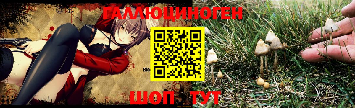 Псилоцибиновые грибы Psilocybine cubensis Моршанск